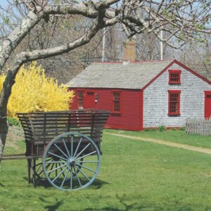 Farm Coast Tours Newport RI