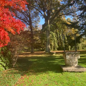 The Newport Gardens Tour