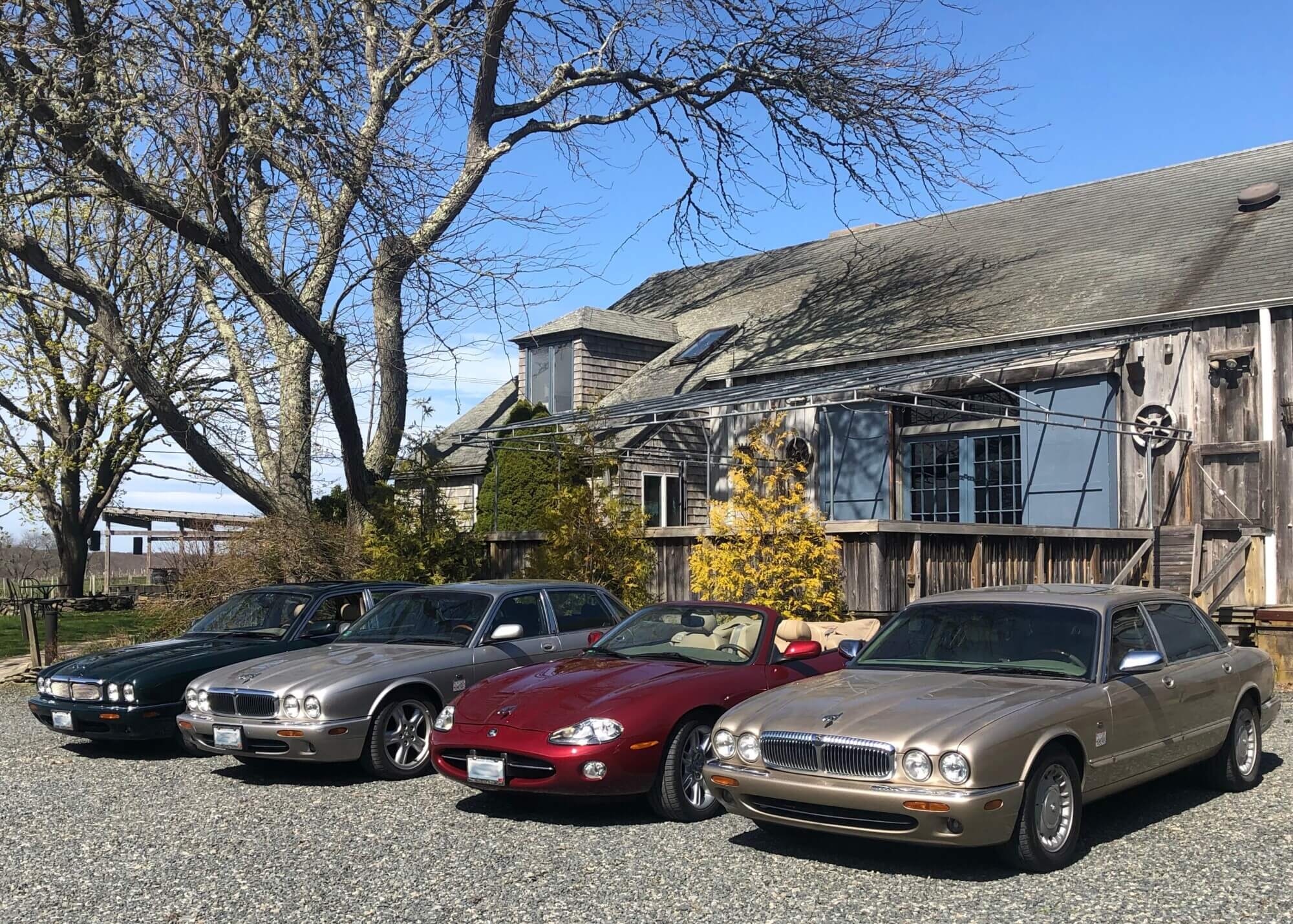 Final Vineyard Lineup